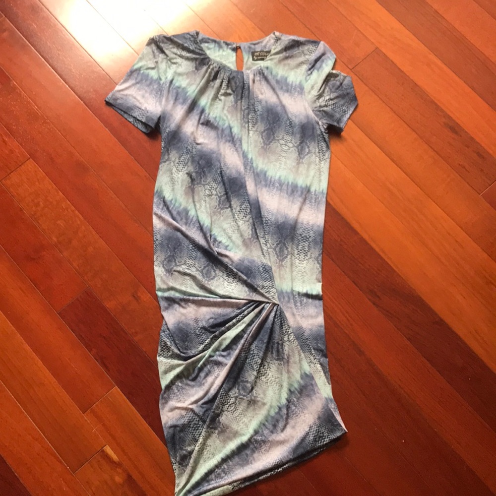 HOST PICK: form fitting Torn animal print dress